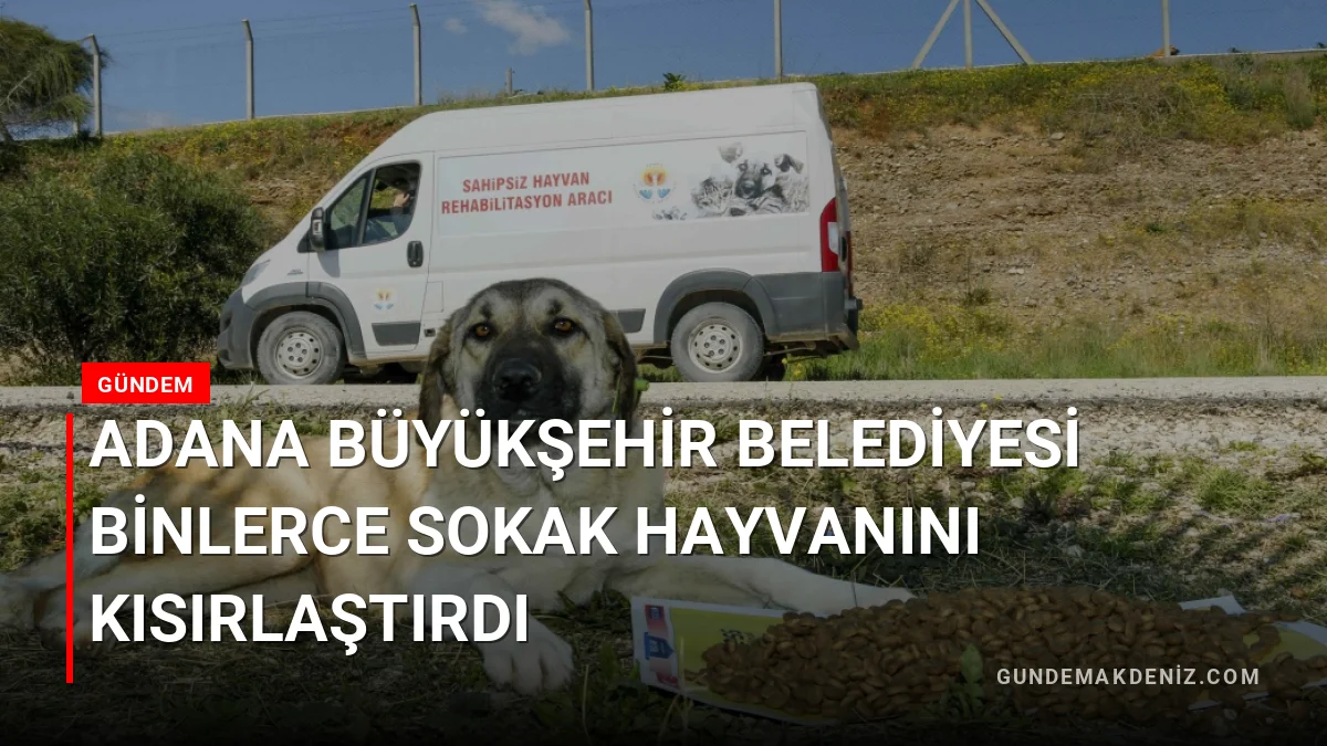 Adana Büyükşehir Belediyesi binlerce sokak hayvanını kısırlaştırdı