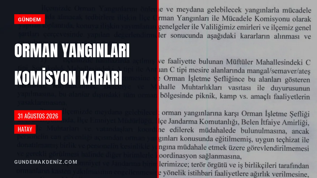 Hatay Orman Yangınları İle Mücadele Komisyonu Kararı Açıklandı