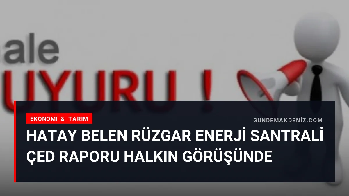 Hatay Belen Rüzgar Enerji Santrali ÇED Raporu Halkın Görüşünde