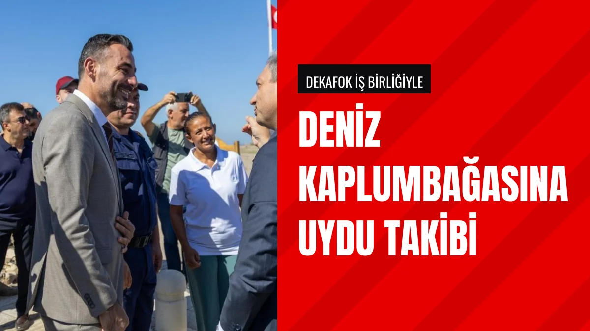 Manavgatta genç deniz kaplumbağası uydu cihazıyla denize salındı